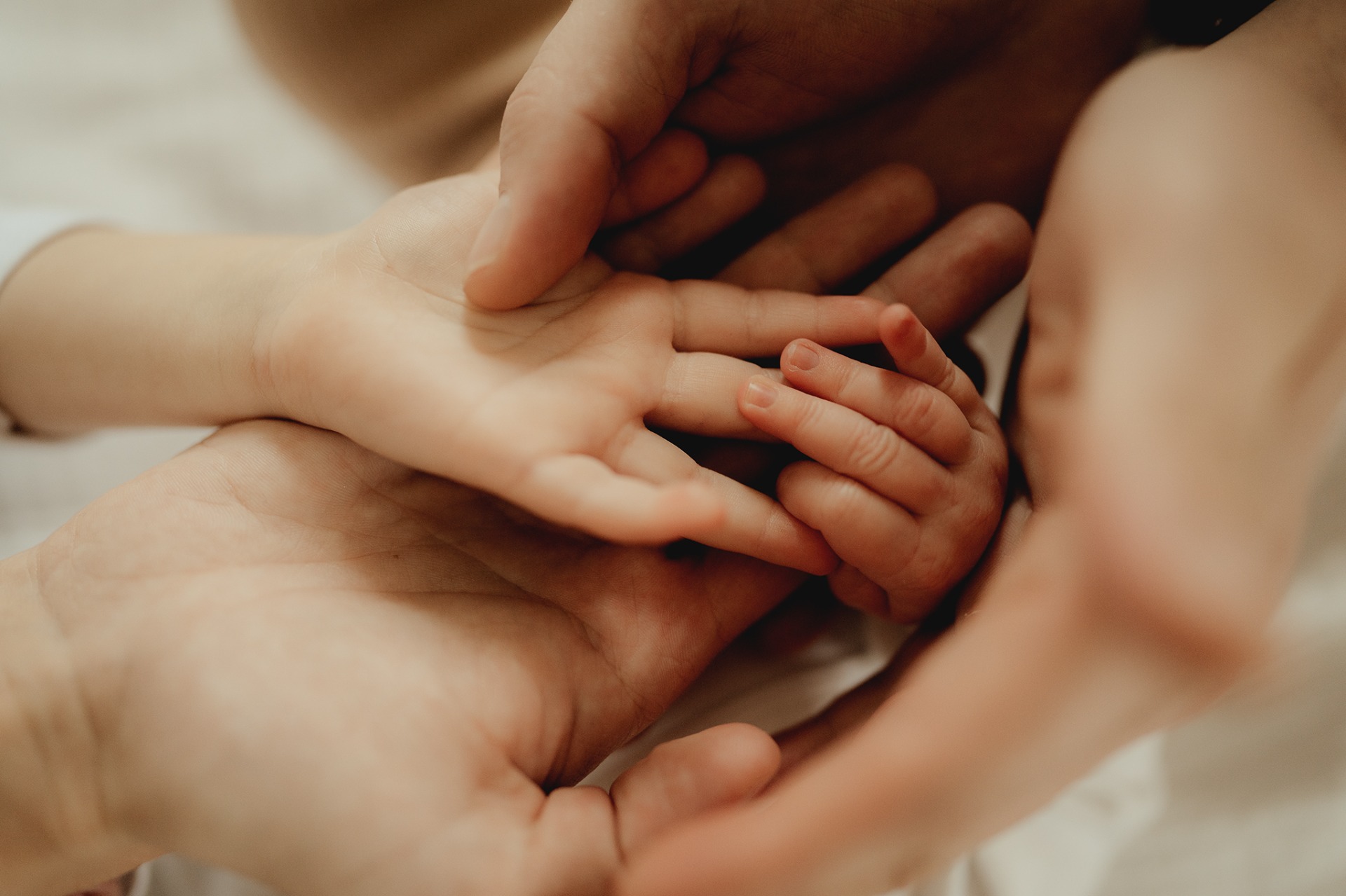 FRESH 48 - PORODNICE